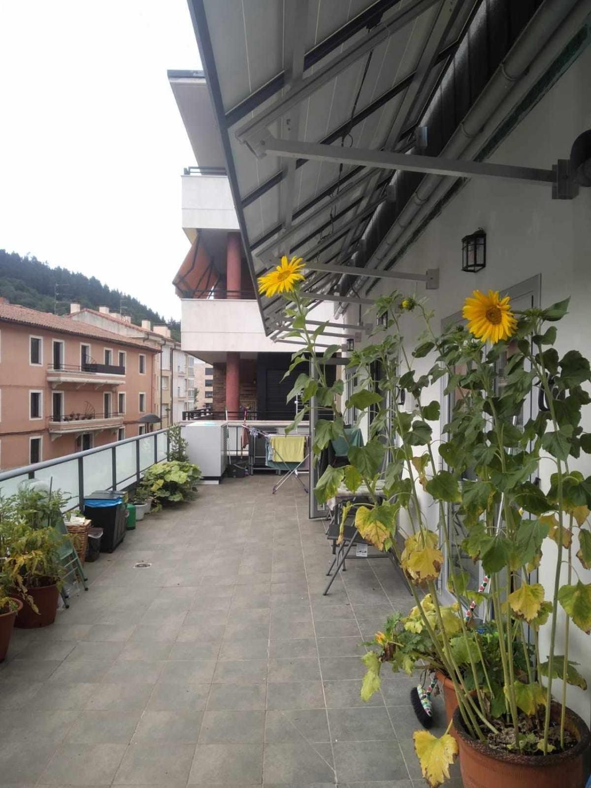 Aldabea II Apartamento Sostenible Legazpia Buitenkant foto